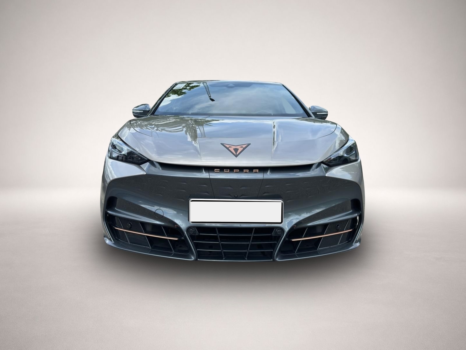 Fotografie 2 des Cupra Tavascan AB385EUR Endurance ALCANTARA WÄPU 360