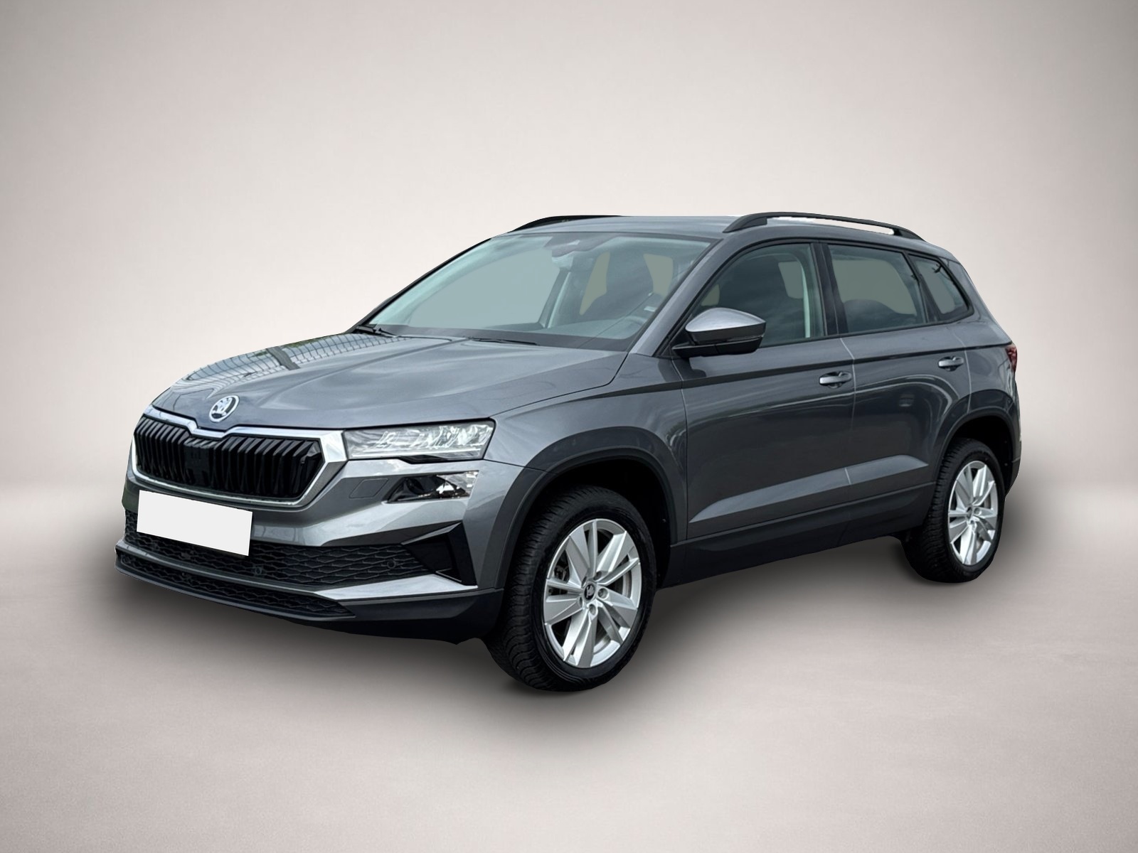 Bild Karoq Skoda
