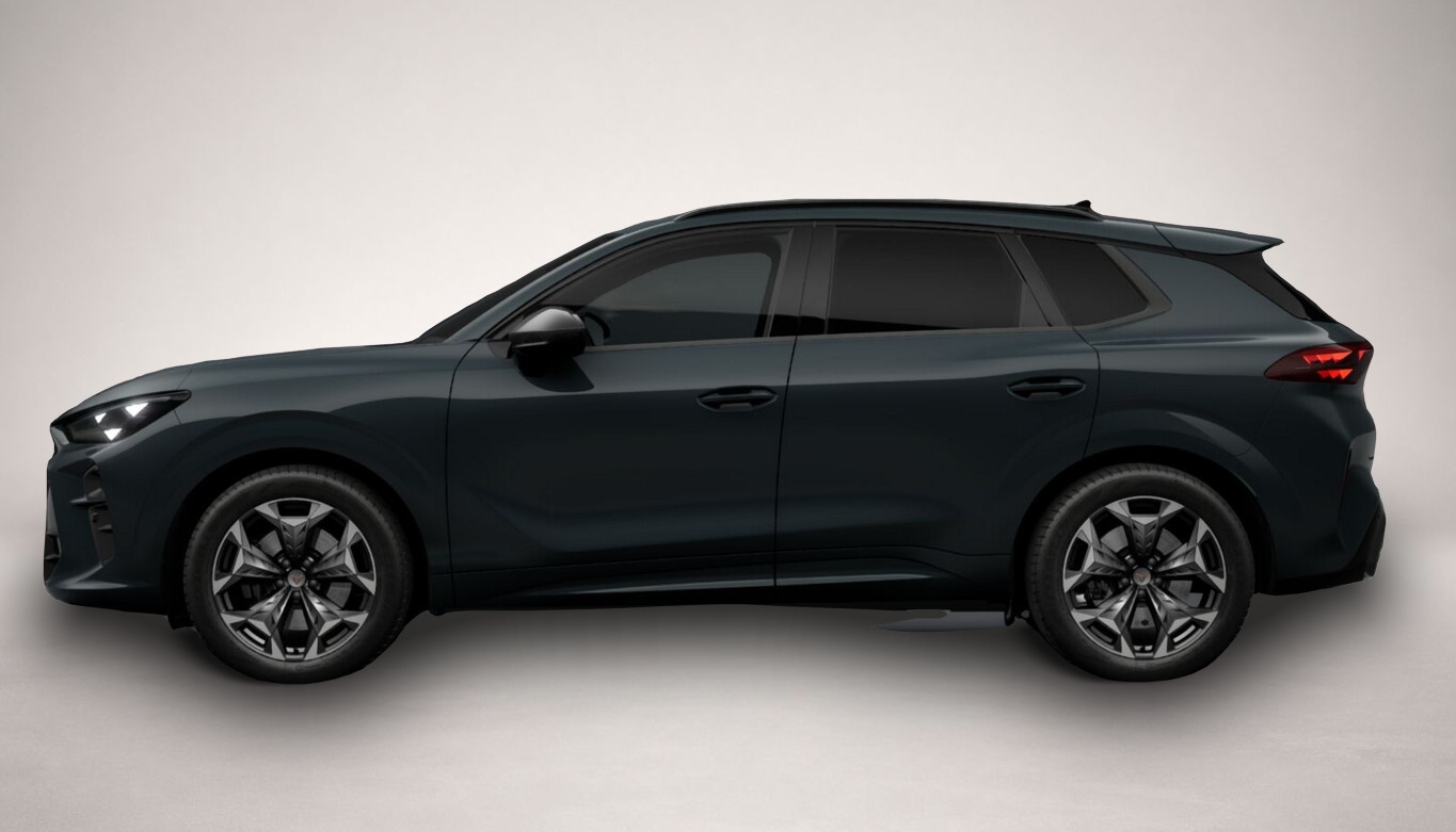 Bild 3 Cupra Terramar VZ 4D AHK eHk Kam SHZ ACC 3ZClim 19