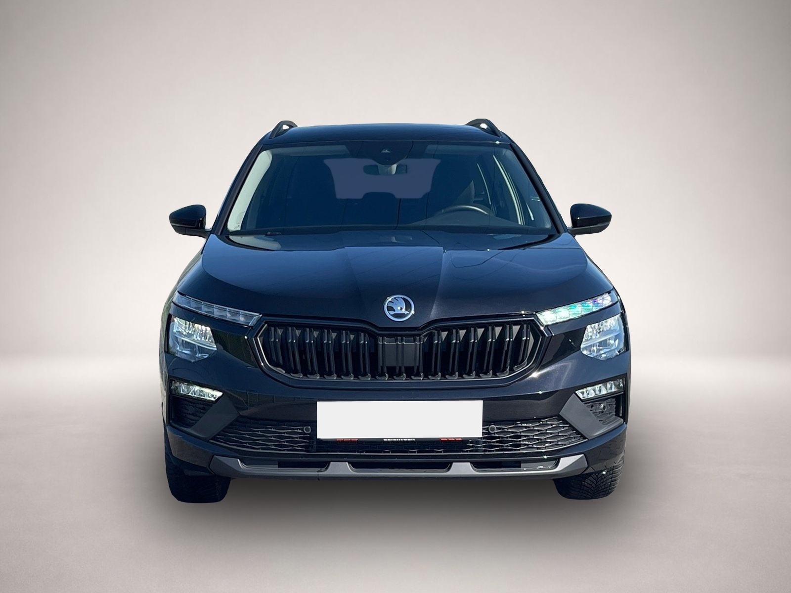 Bild 2 Skoda Kamiq Black Dots TSI|KAMERA|VORB.AHK|SHZ|TEMPOMA