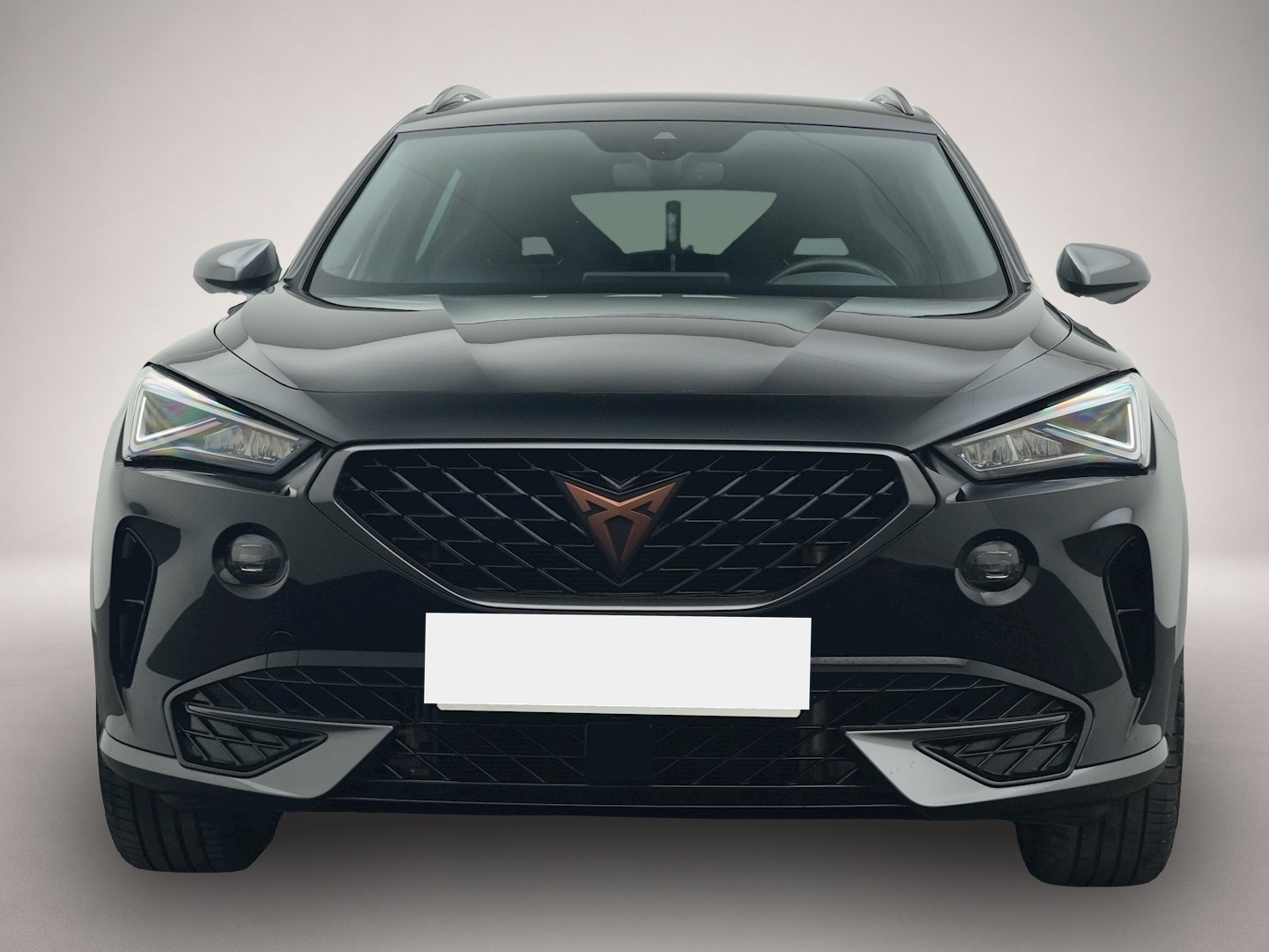 Fotografie 8 des Cupra Formentor 2.0 TDI DSG 4Dr. NAVI KAMERA BEATS SHZ