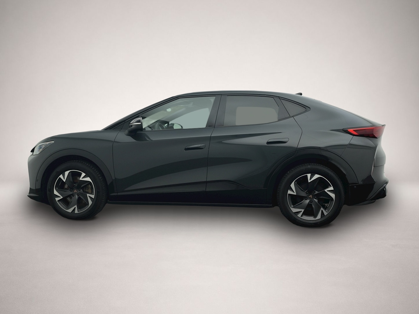 Bild Tavascan Cupra