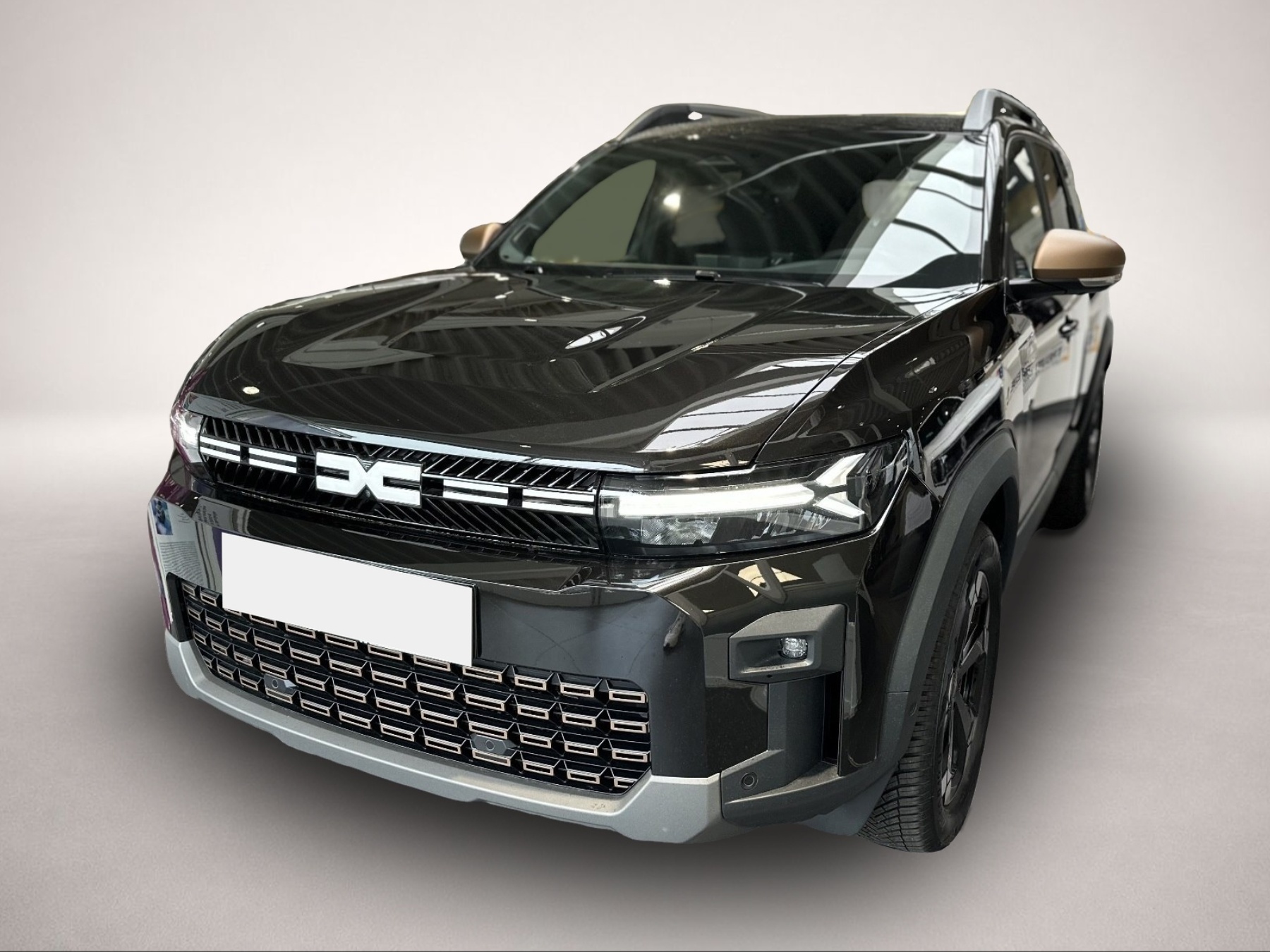 Bild Bigster Dacia