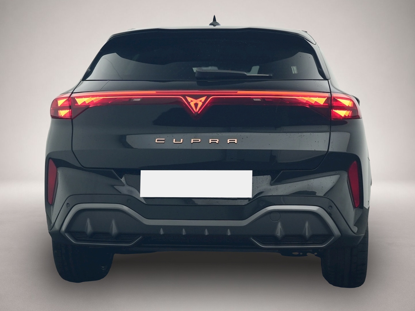 Bild 4 Cupra Terramar 2.0 TSI DSG 4Dr. VZ 5.-J.-GAR PANO AHK