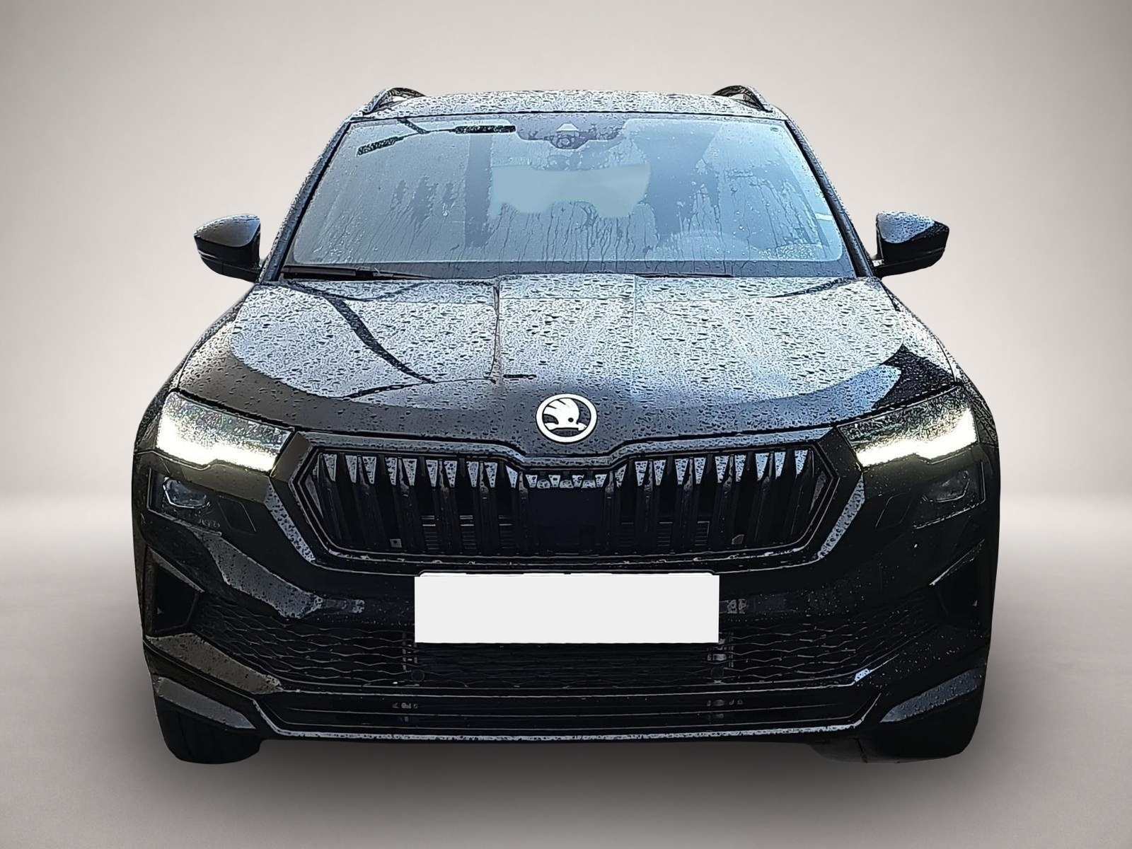 Bild 2 Skoda Karoq 2.0 TSI DSG Sportline 4x4 AHK Travel Ass.