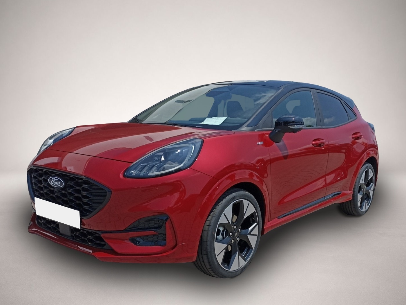 Bild Puma Ford