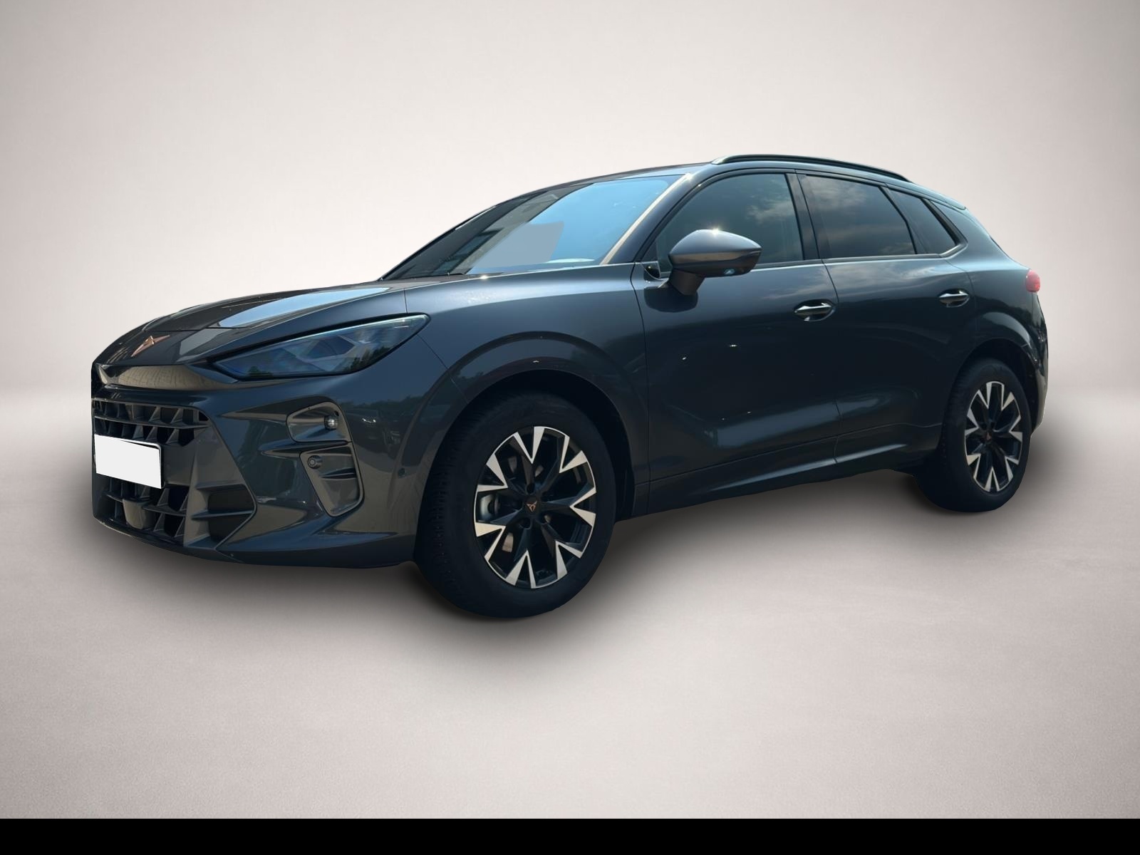 Bild Terramar Cupra