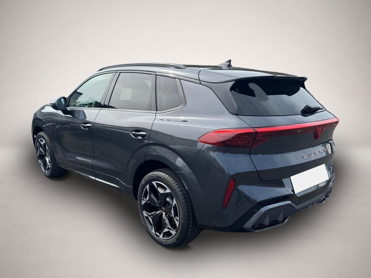 Bild 4 Cupra Terramar VZ 4x4 DSG AHK LED el.Heckklappe Alu-19
