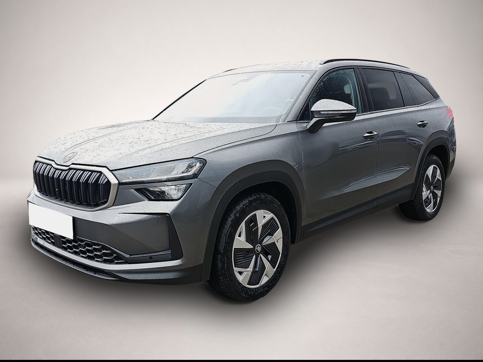 Bild 3 Skoda Kodiaq 1.5 TSI DSG Selection 7Si ACC Navi Memory
