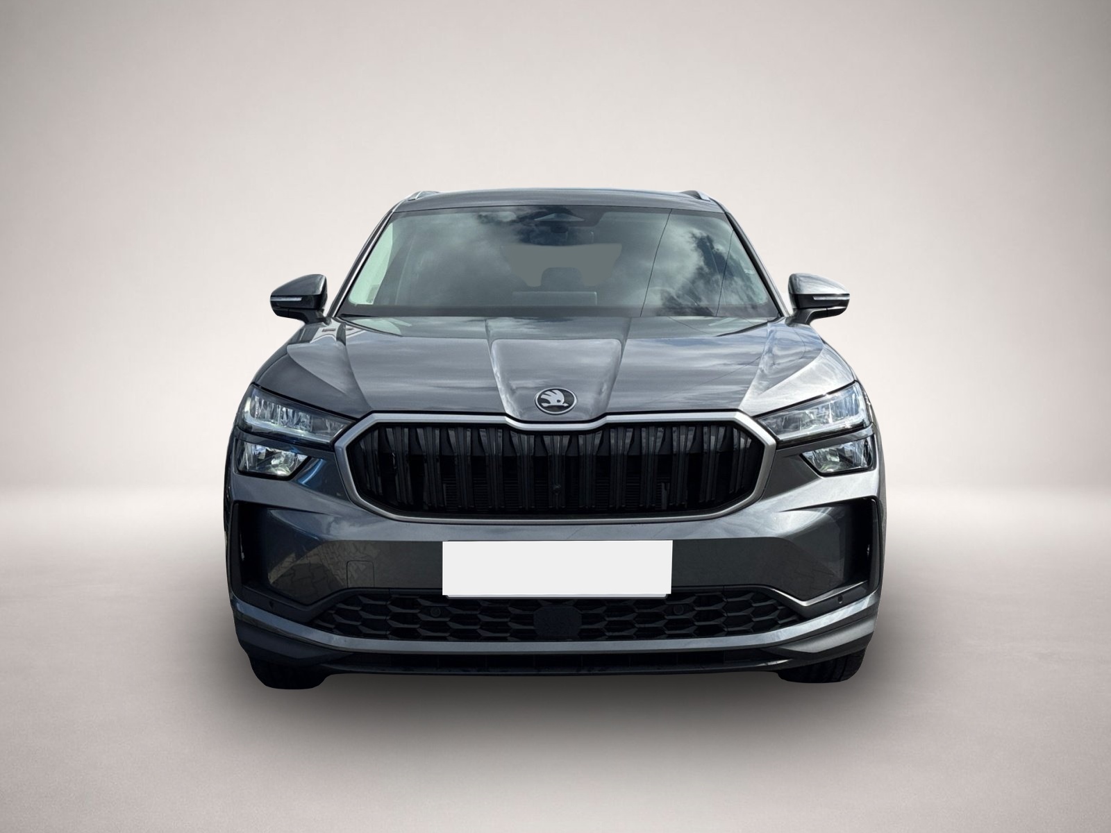 Bild Kodiaq Skoda