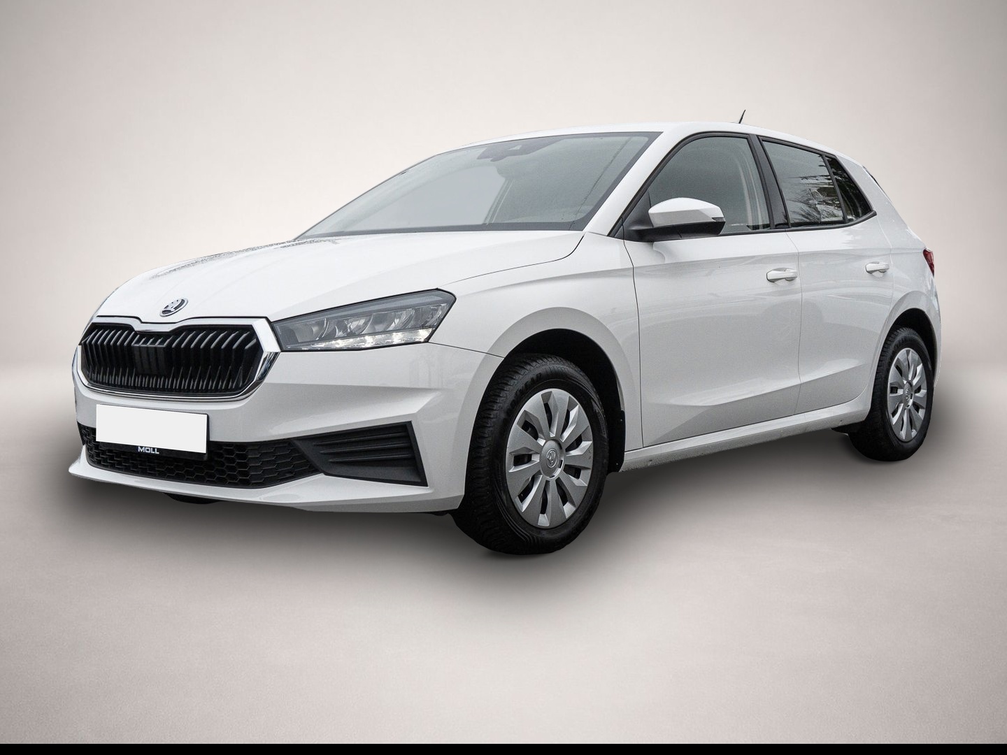 Bild 1 Skoda Fabia 1.0 MPI Active