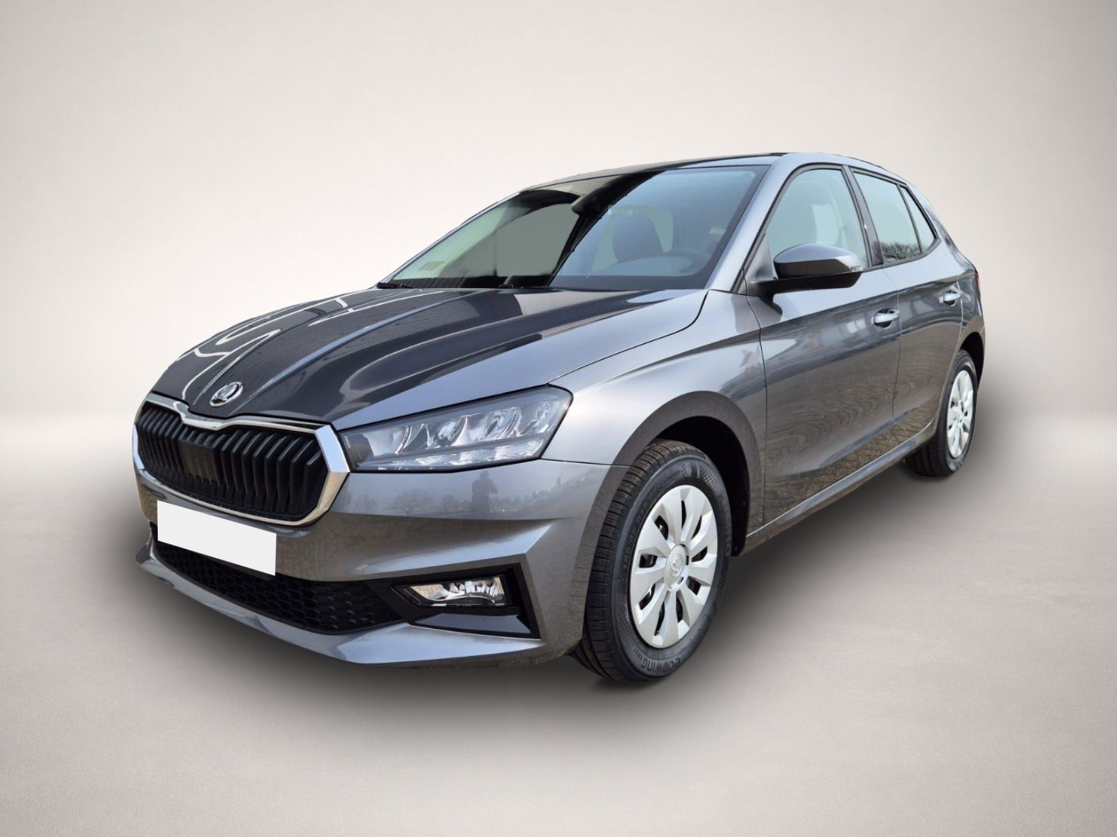 Bild 7 Skoda Fabia 1.0 TSI 95PS Selection 5-türig Rückf.Kame