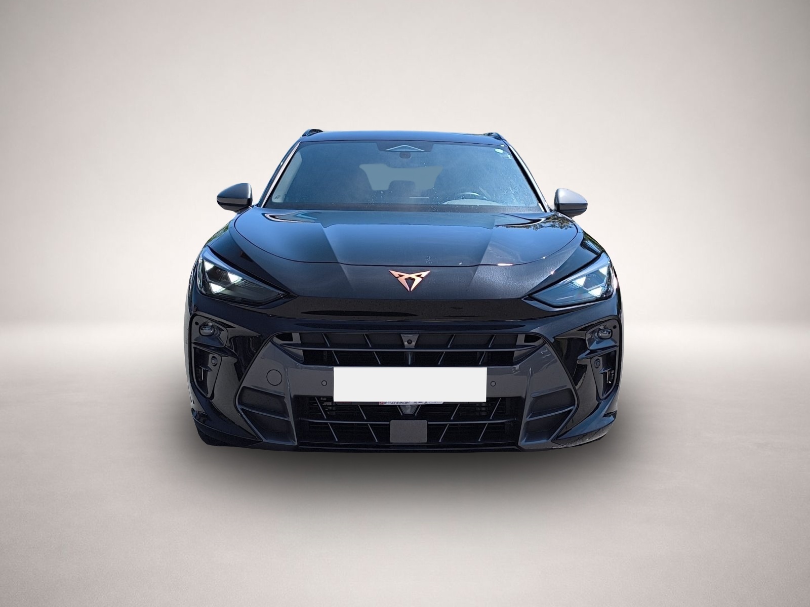 Fotografie Cupra Terramar 1.5 eTSI DSG 5-J-G HUD ACC KESSY 18LM R