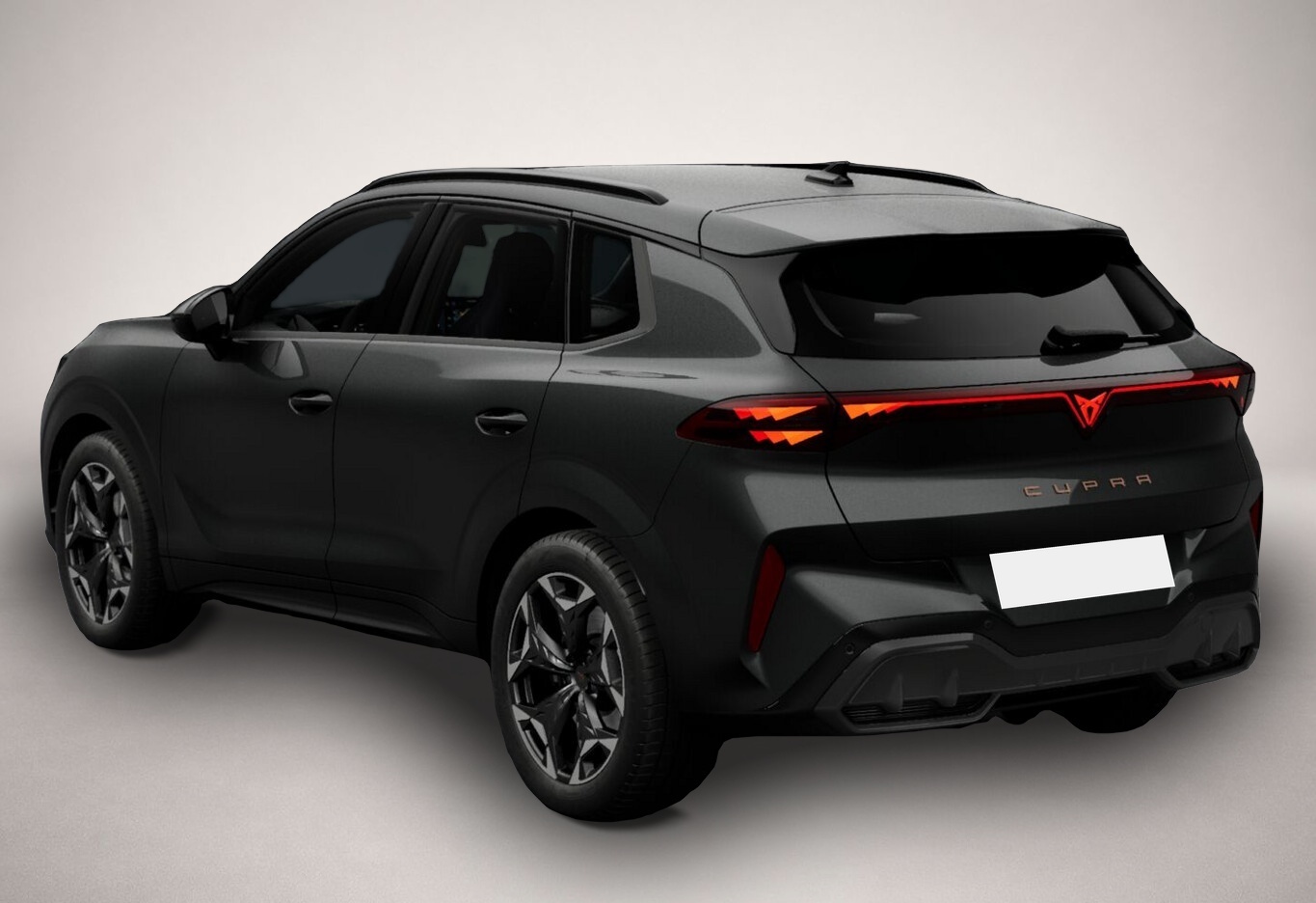 Fotografie 5 des Cupra Terramar VZ 4D eHk Kam SHZ ACC 3ZClim 19