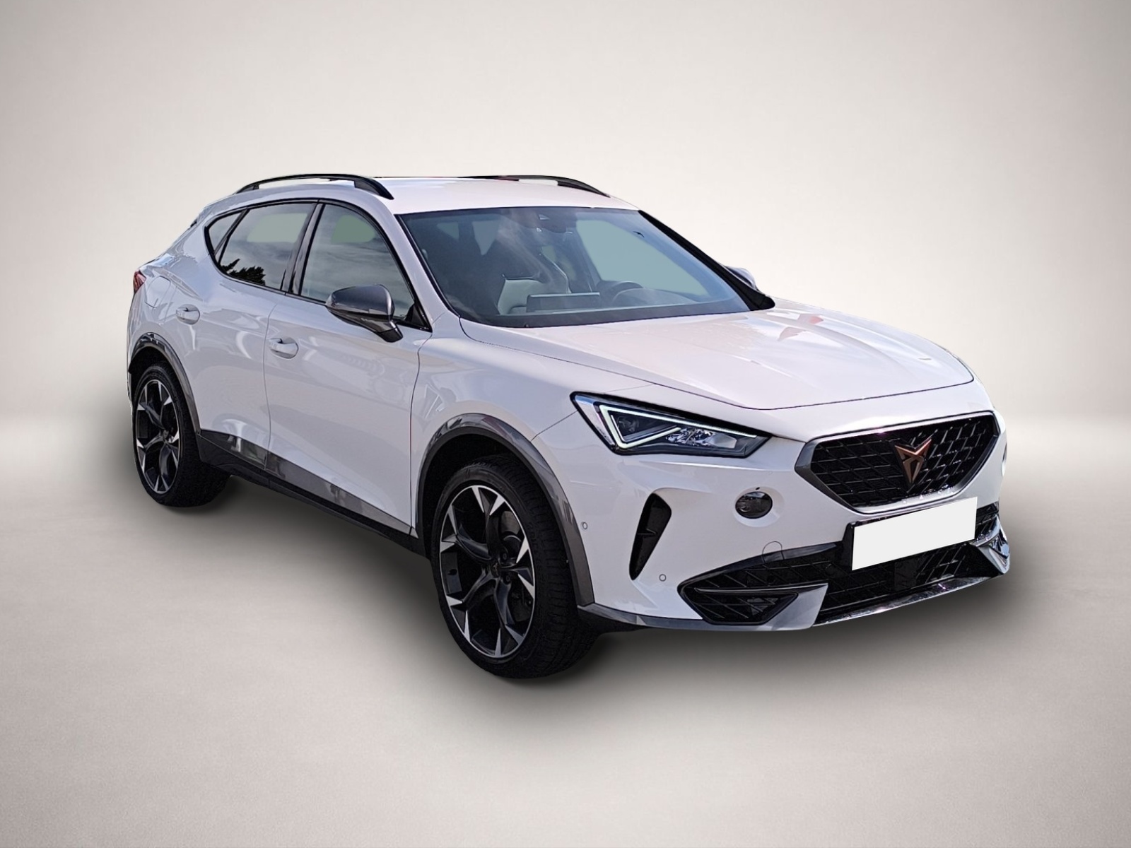 Bild 3 Cupra Formentor 2.0 TSI DSG 4Drive VZ LED NAVI 19 KAME