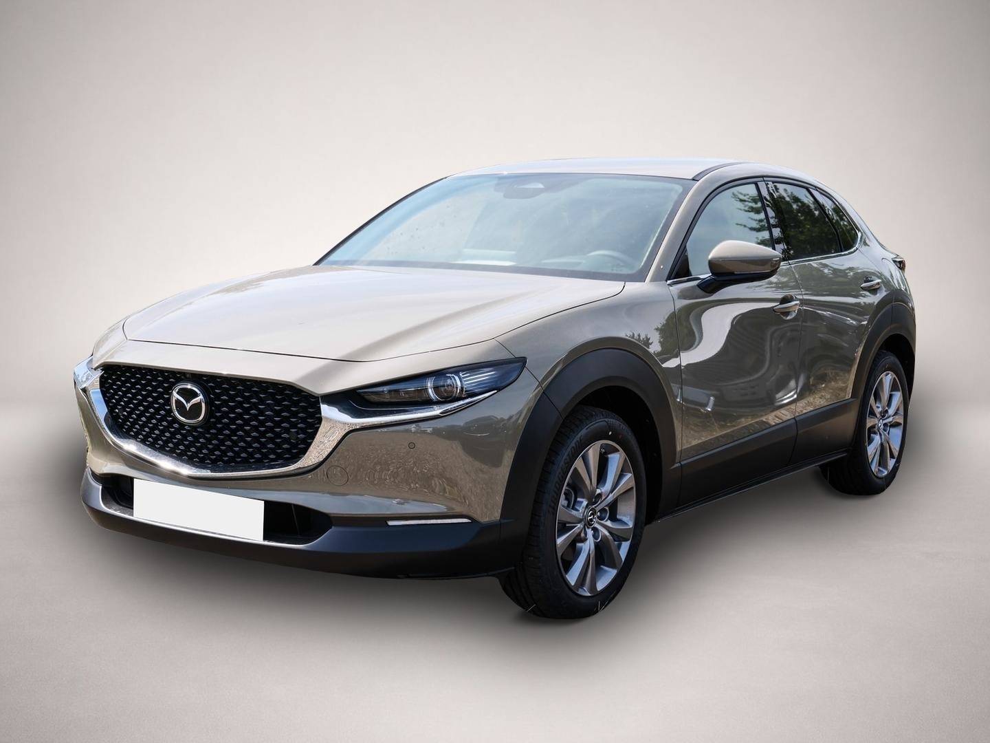 Fotografie Mazda CX-30 Exclusive-line 2.5L e-SKYACTIV G 140PS 6AT