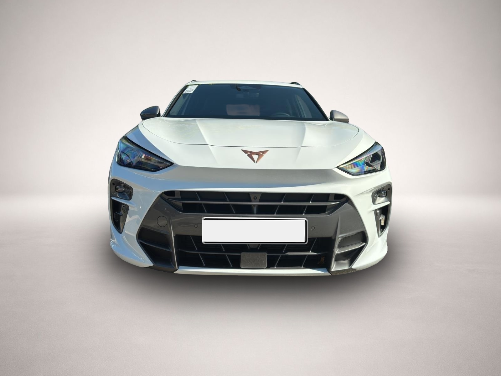 Bild 2 Cupra Terramar 1.5 eTSI DSG AB351EUR ALCANTARA 360 HuD