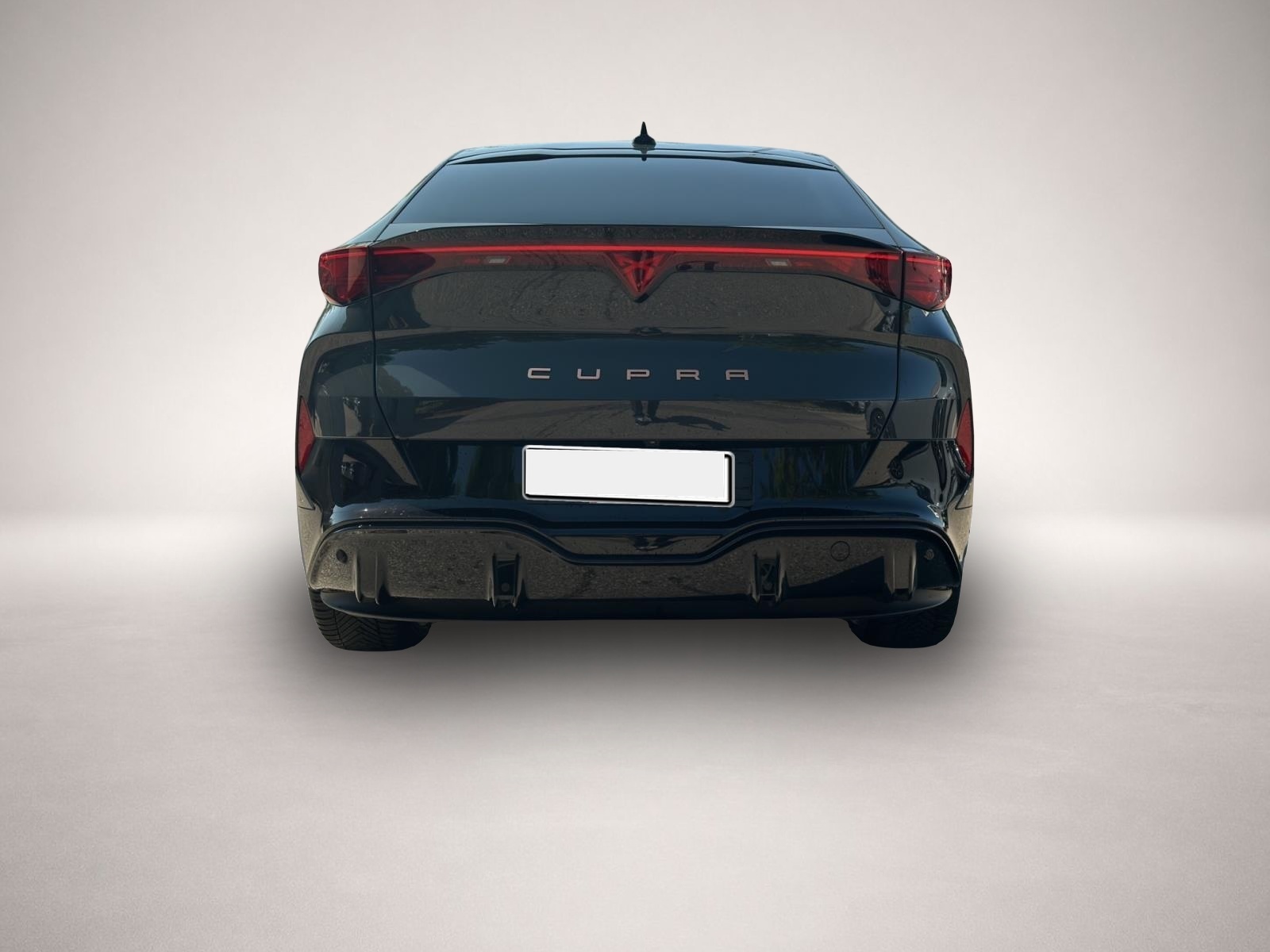 Bild 4 Cupra Tavascan Endurance ALCANTARA NAVI 360 SHZ