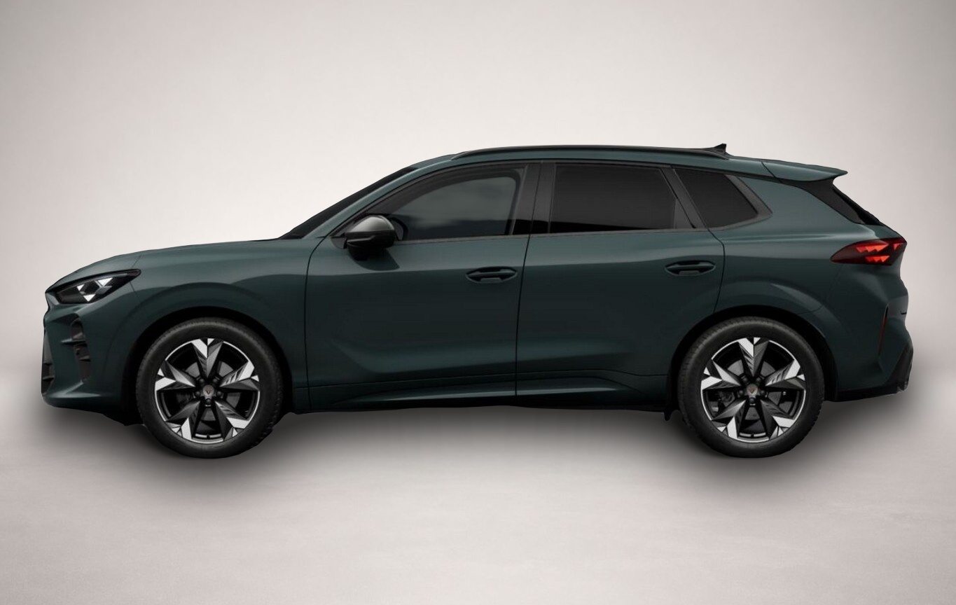 Bild 2 Cupra Terramar DSG EdgeP SHZ eHk Kam ACC 19