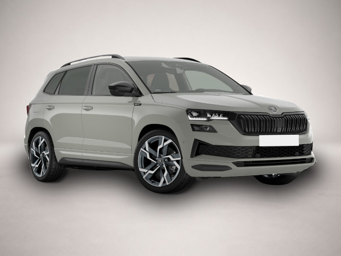 Bild Karoq Skoda