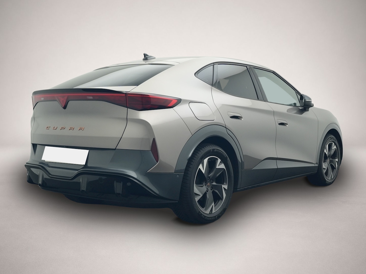 Bild 5 Cupra Tavascan Endurance ALCANTARA WÄPU 360 NAVI