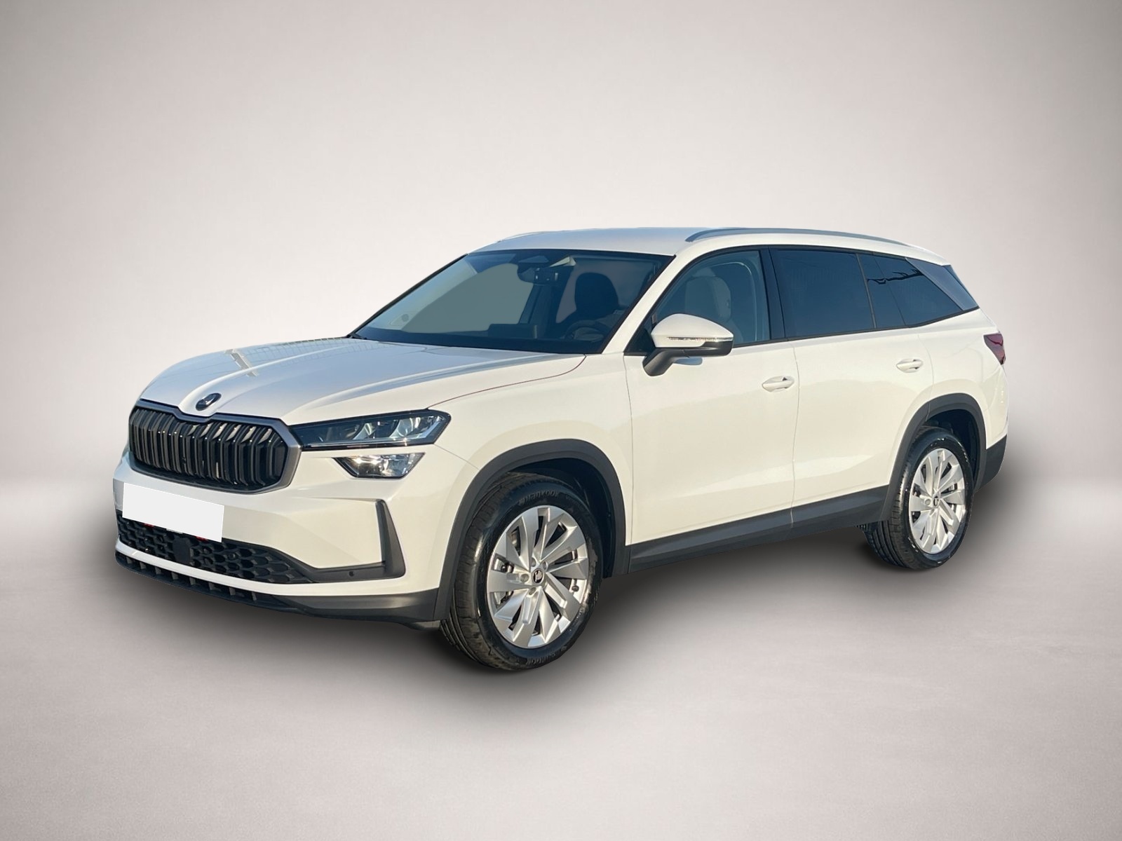 Bild Kodiaq Skoda
