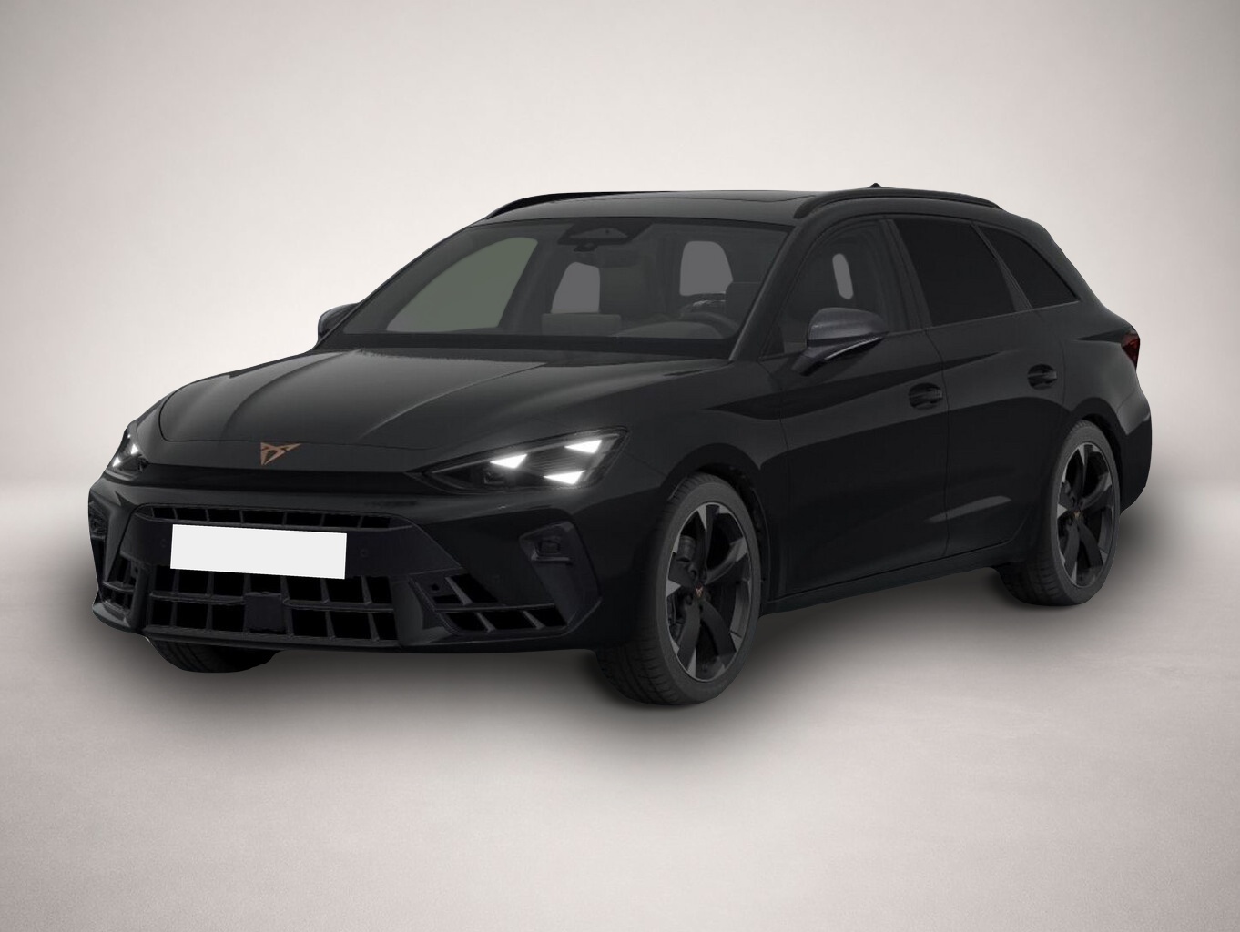 Bild Leon Cupra