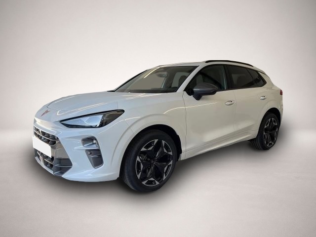 Bild Terramar Cupra