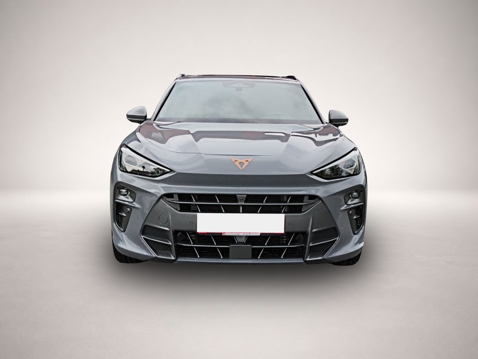 Bild 2 Cupra Terramar 2.0 TSI DSG 4Drive VZ 5-J-G HEAD UP MAT