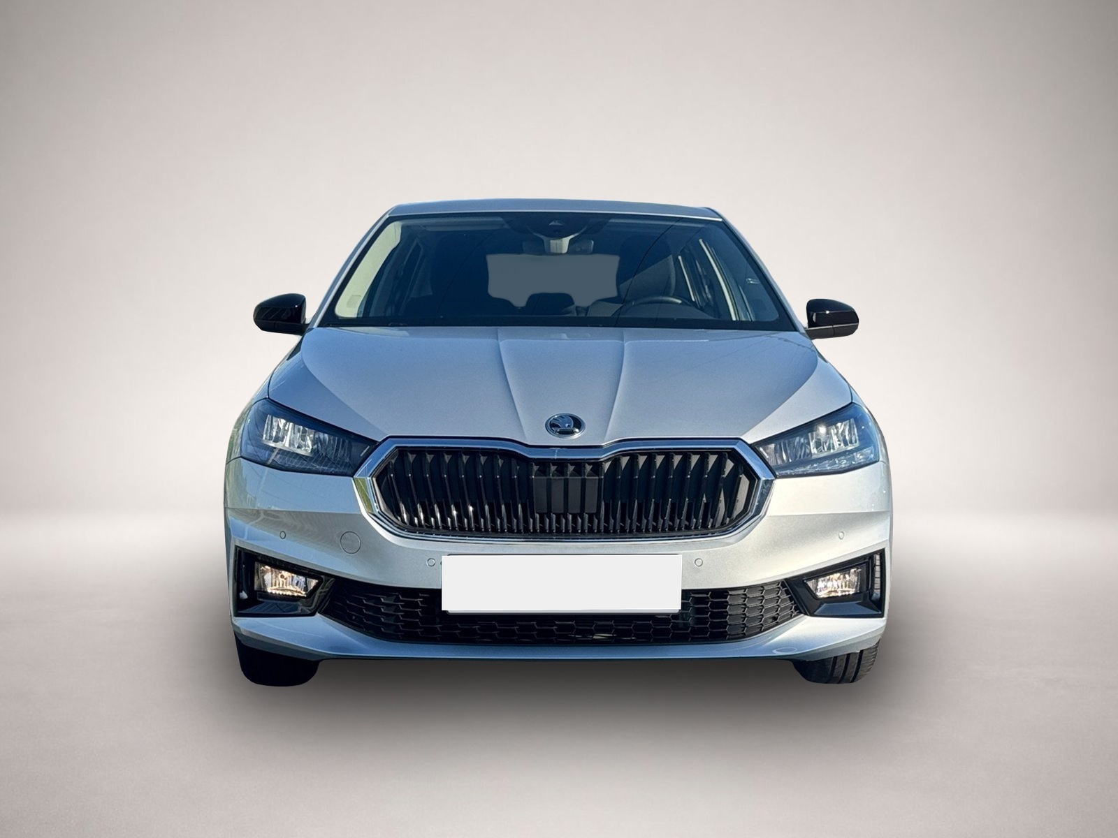Bild 2 Skoda Fabia Selection 1.0|KAMERA|15
