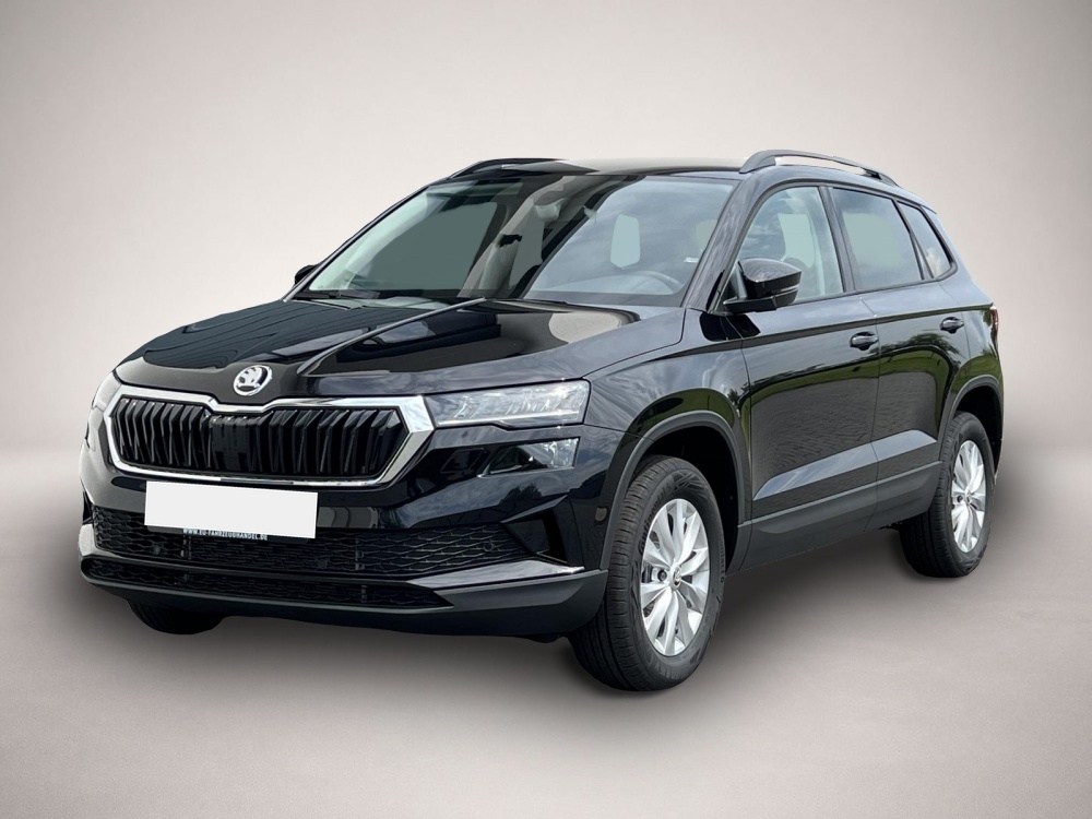 Fotografie Skoda Karoq Selection 1,5 TSI DSG 110KW Winter