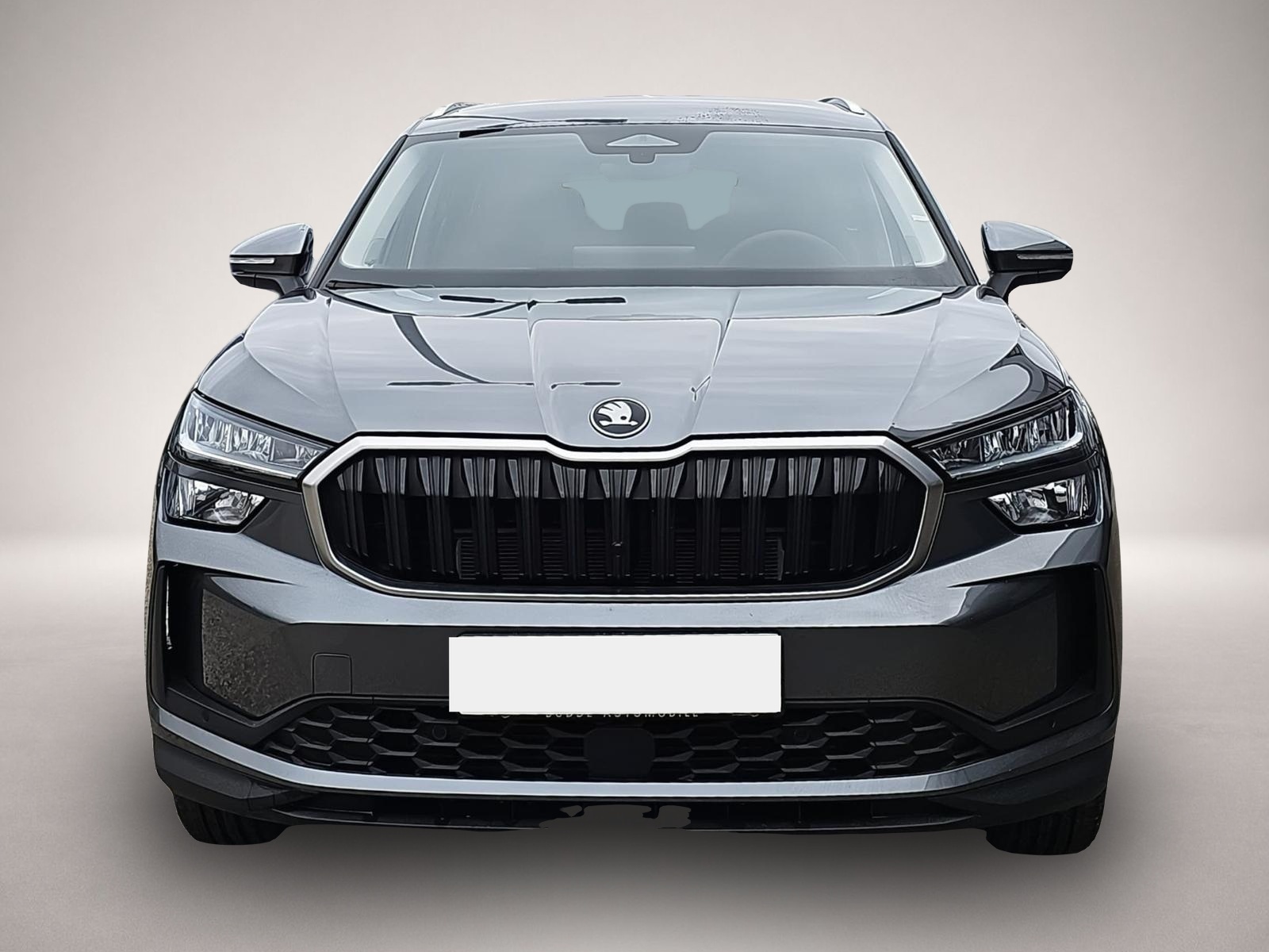 Bild 2 Skoda Kodiaq 2.0 TDI DSG Selection 5Si. / AHK / Navi