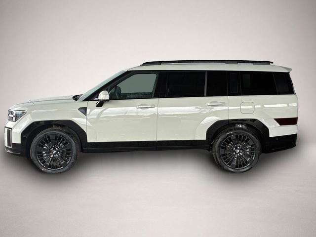 Fotografie Hyundai Santa fe PHEV Black Line 4WD 7-Sitzer / 4x Shz .