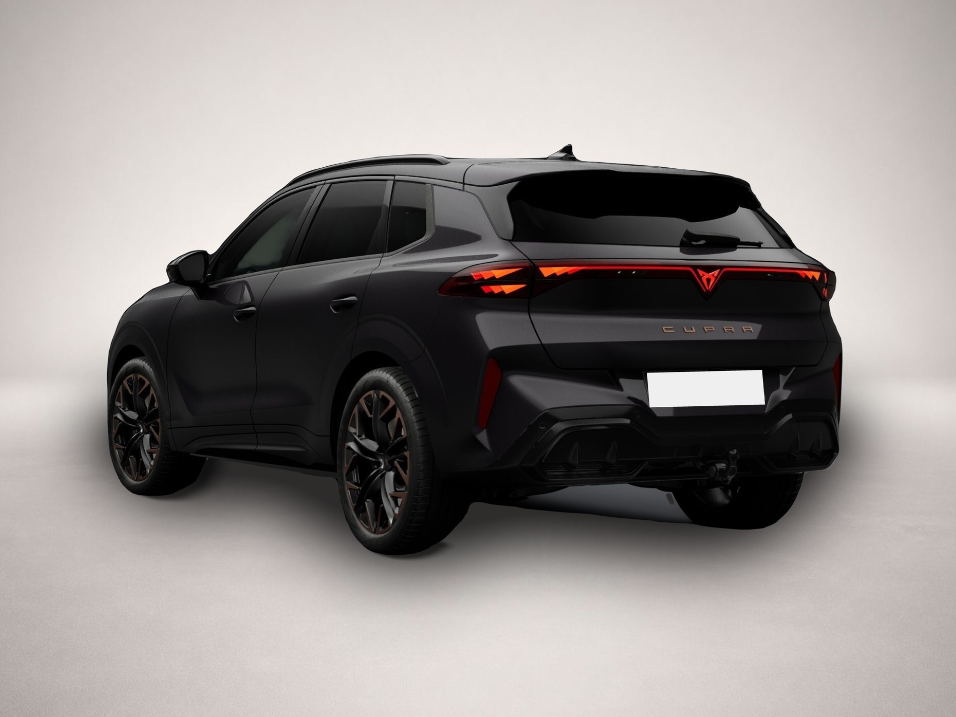 Bild 3 Cupra Terramar 2.0 TSI 7-Gang-DSG 4Drive
