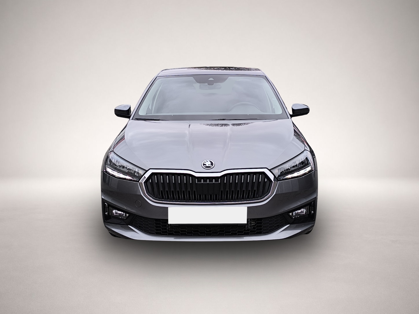 Fotografie 2 des Skoda Fabia 1.0 TSI Ambition LED PDC RFK