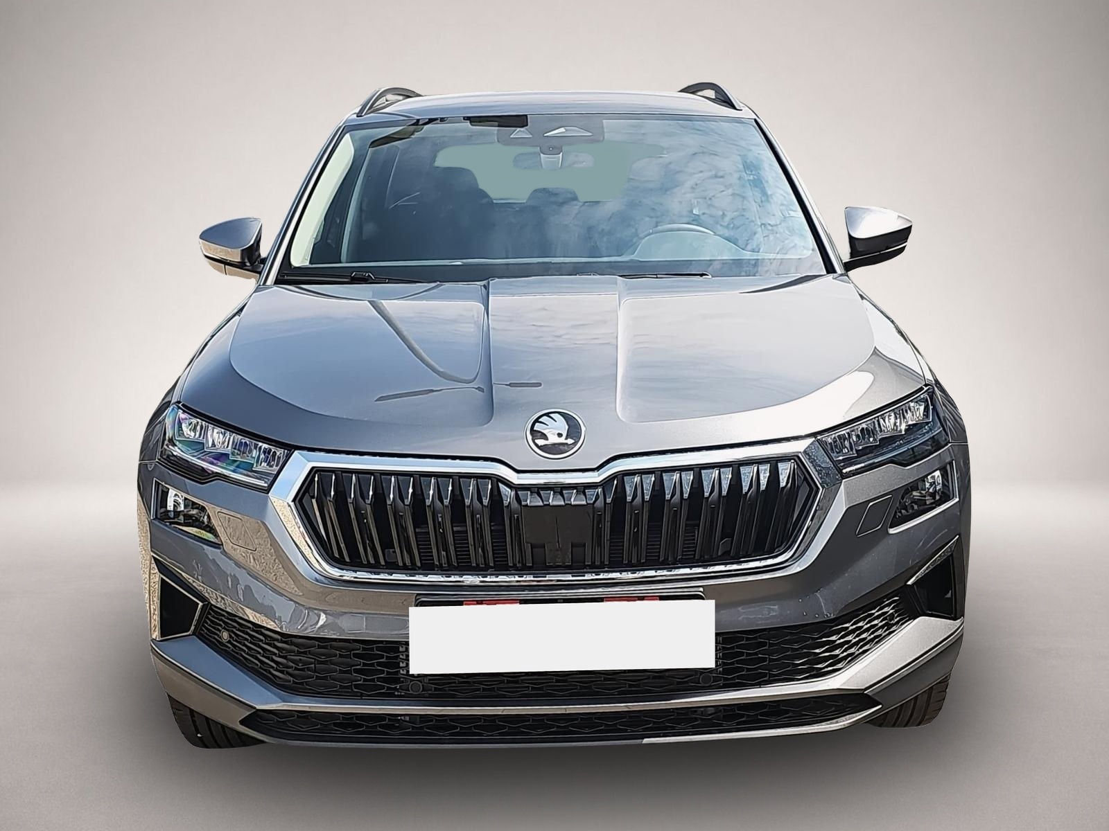 Bild 2 Skoda Karoq 1.5 TSI DSG Selection SmartLink Kamera AHK
