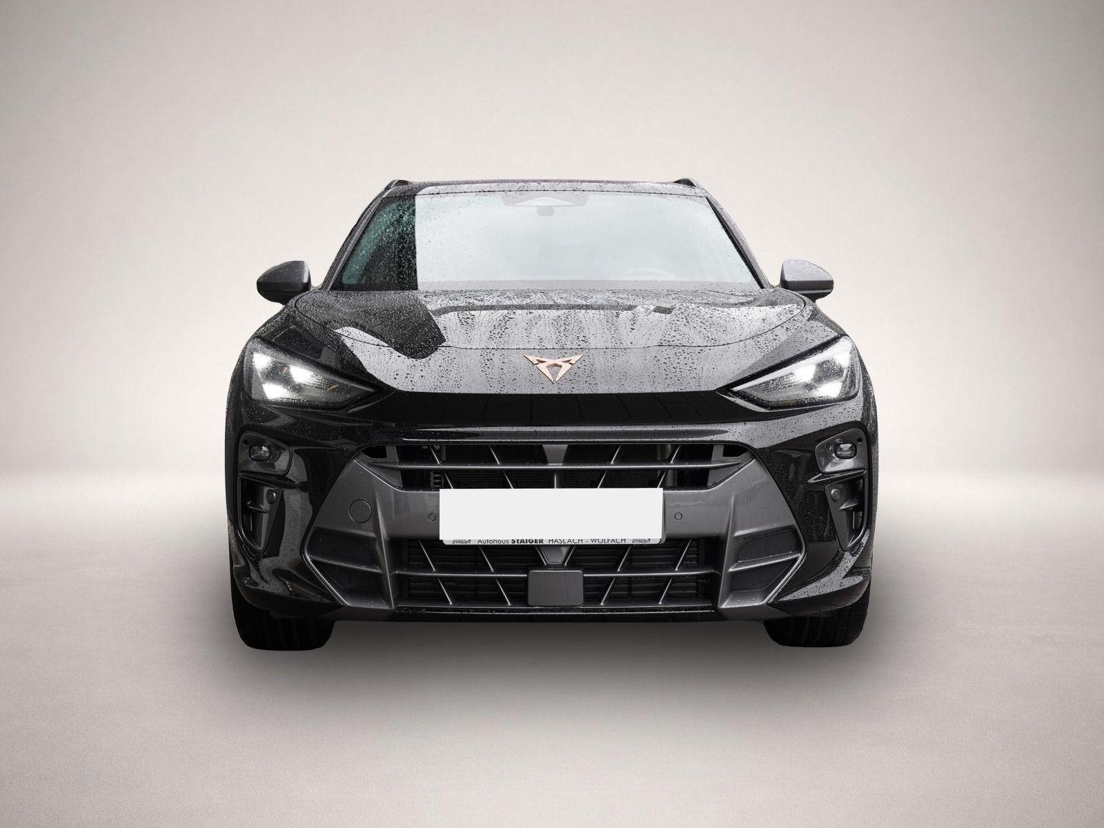 Bild 2 Cupra Terramar VZ 2.0TSI 4x4+Pano mtl. ab 349€*