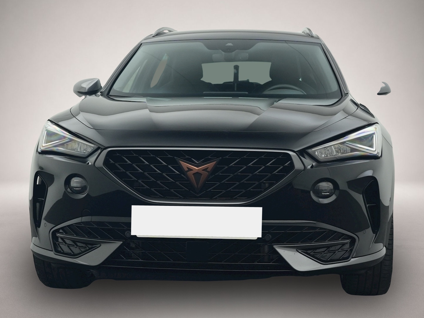 Bild 8 Cupra Formentor 1.5 TSI DSG AHK KAMERA NAVI SHZ LED