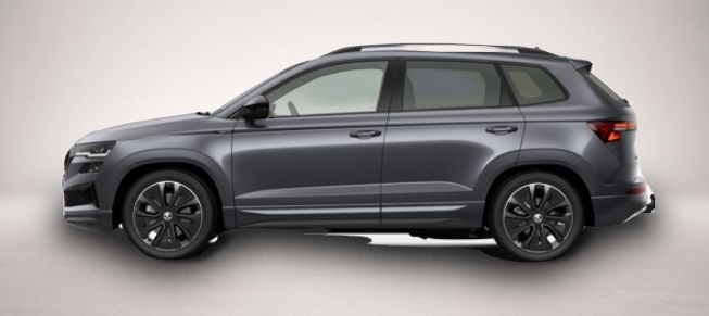Bild 2 Skoda Karoq 2.0 TSI 7-Gang-DSG 4x4