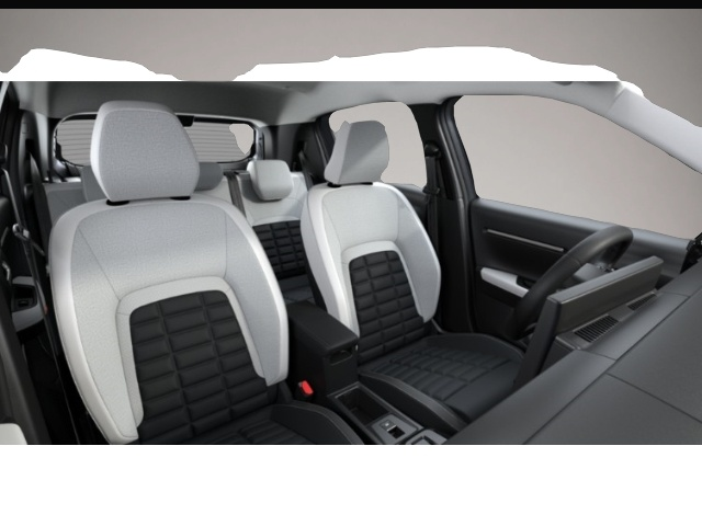 Bild 4 Citroën C3 Team-D Sondermodell SHZ LHZ LED NAVI Klimaaut