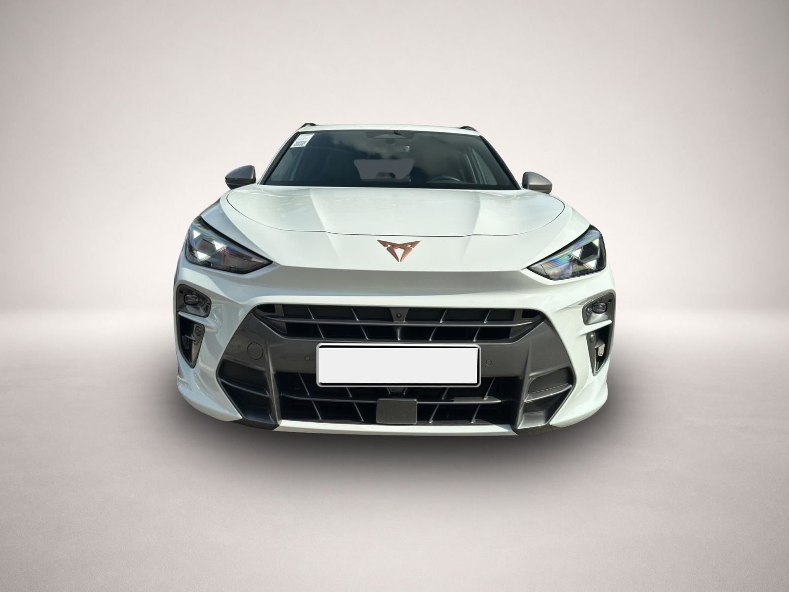 Bild 2 Cupra Terramar 1.5 eTSI DSG ALCANTARA 360 HuD NAVI SHZ