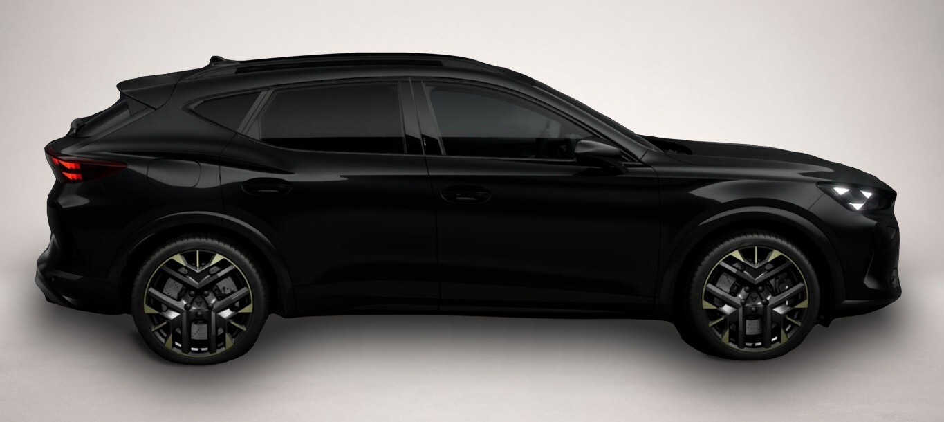 Fotografie 2 des Cupra Formentor VZ DSG 4D Tribe Edition DCC 19