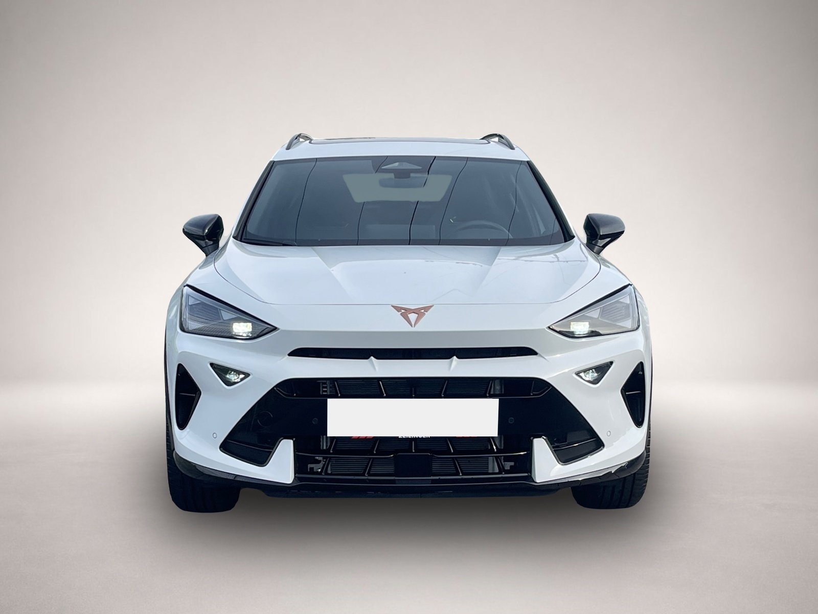 Bild 2 Cupra Formentor VZ TSI DSG|5J-GAR|AHK|PANO|el.HECK|NAV