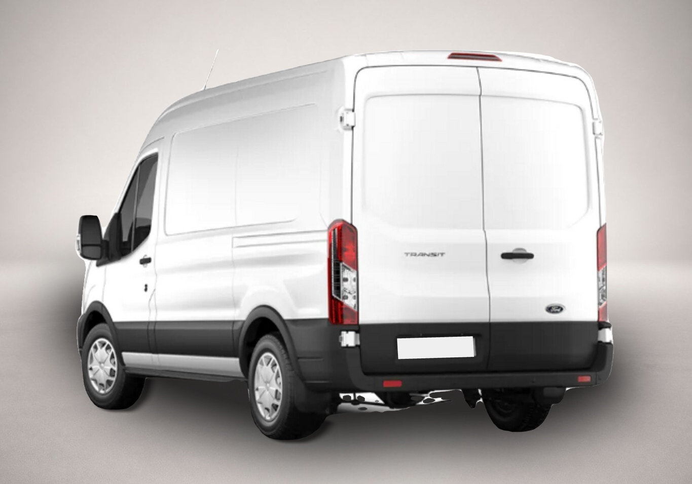 Bild 3 Ford Transit 350 Trend L2H2 Xenon Holz Kam AHKVorb 3S