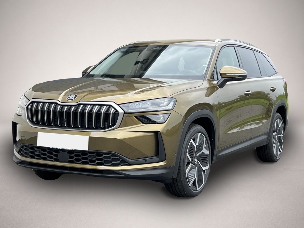 Bild Kodiaq Skoda