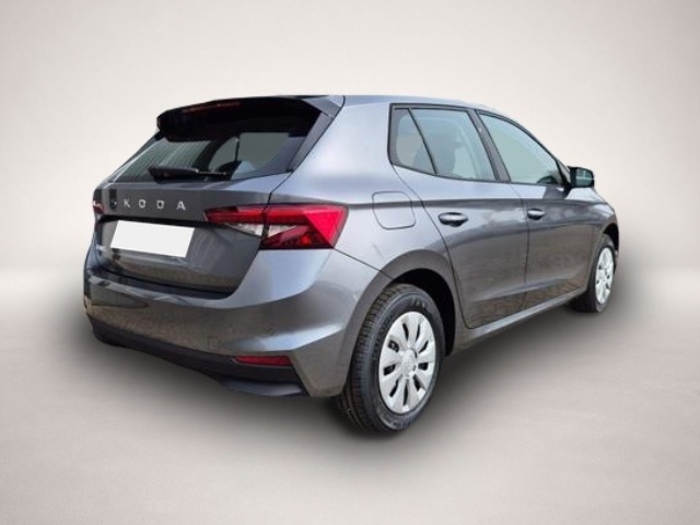 Fotografie 4 des Skoda Fabia 1.0 TSI 95PS Selection 5-türig Rückf.Kam.