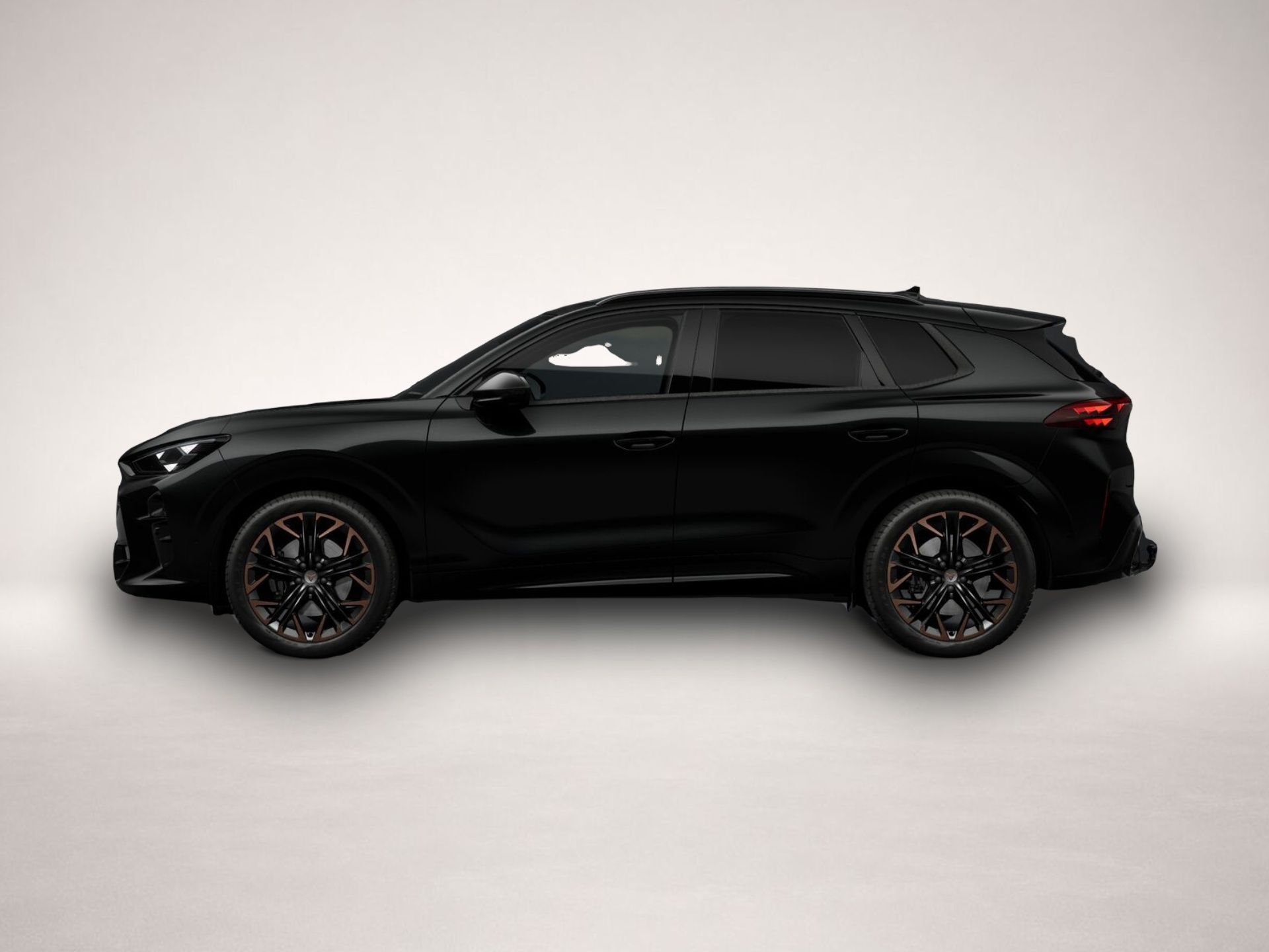 Bild 2 Cupra Terramar 2.0 TSI 7-Gang-DSG 4Drive