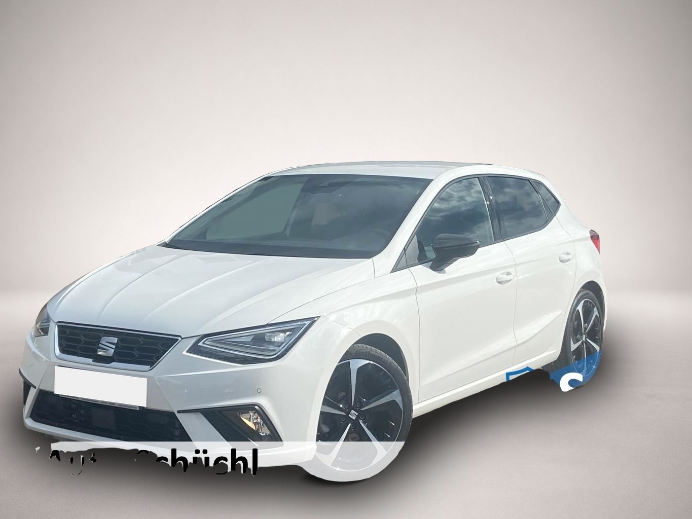 Bild Ibiza Seat
