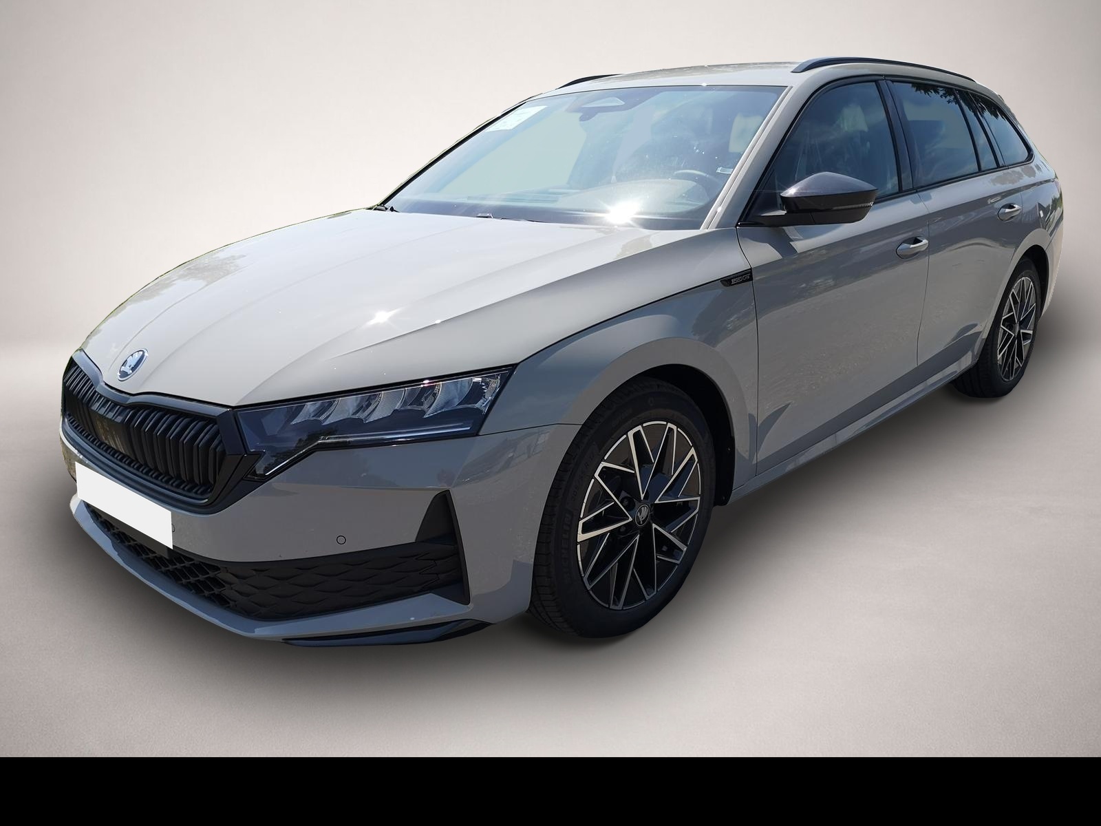 Bild Octavia Skoda