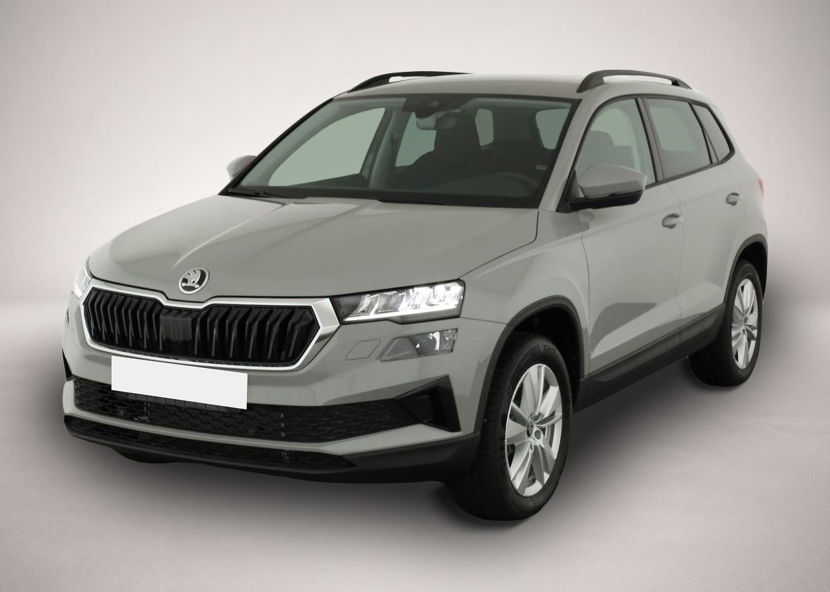 Fotografie Skoda Karoq 2.0 TDI DSG 4x4 Selection, AHK, LED, Kamer